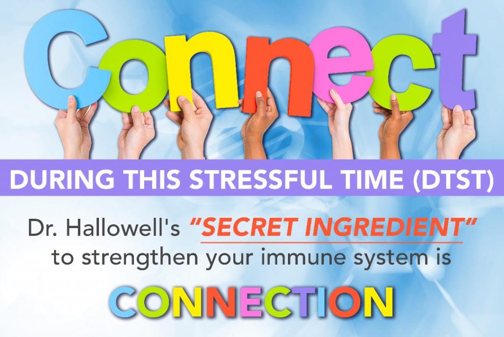 Connection Immune System