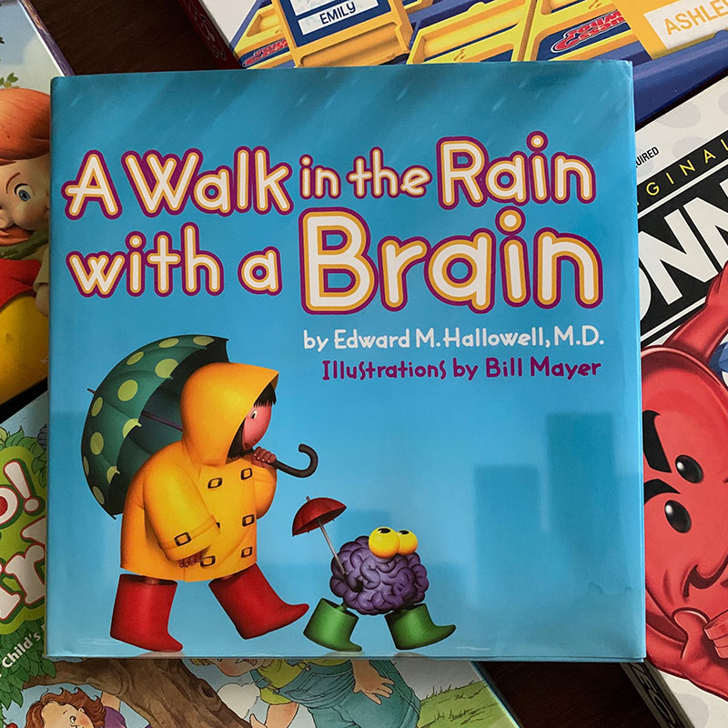 A Walk in the Rain with a Brain